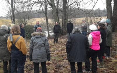 Permaculture Teacher Training reports