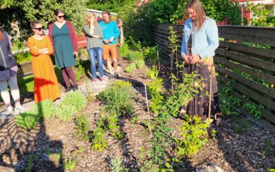 Nordic Permaculture Academy diploma retreat in Estonia, 13. – 15. June 2025